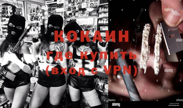 молекула духа Козельск