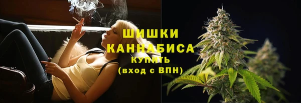 молекула духа Козельск