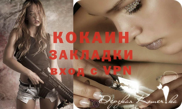 молекула духа Козельск