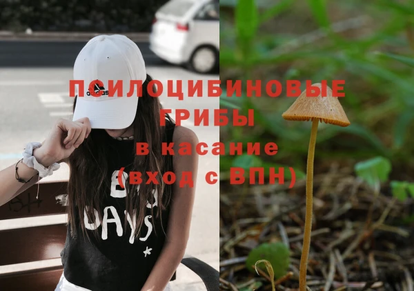 прущая мука Киренск