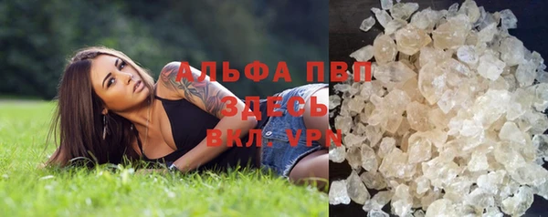молекула духа Козельск