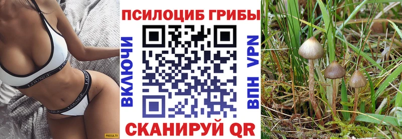 Псилоцибиновые грибы Cubensis  OMG рабочий сайт  Киселёвск  где купить наркотик 