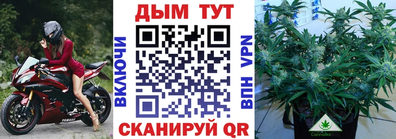 Канабис гибрид  закладки  Киселёвск 